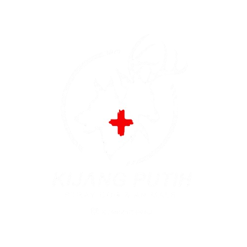 Kijang Putih Bali Shelter
